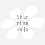 LIMFNA DRENAŽA OBRAZA 30 minut